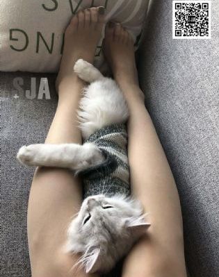 欧美vibe风裤子女_1080电影免费在线